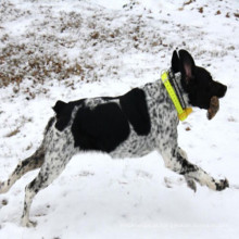 Caça impermeável do treinamento do colar do Beeper do cão com 8 modos 4 tipos de som